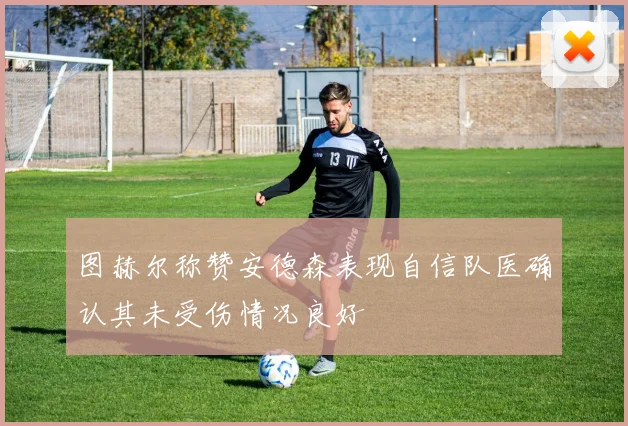 图赫尔称赞安德森表现自信队医确认其未受伤情况良好