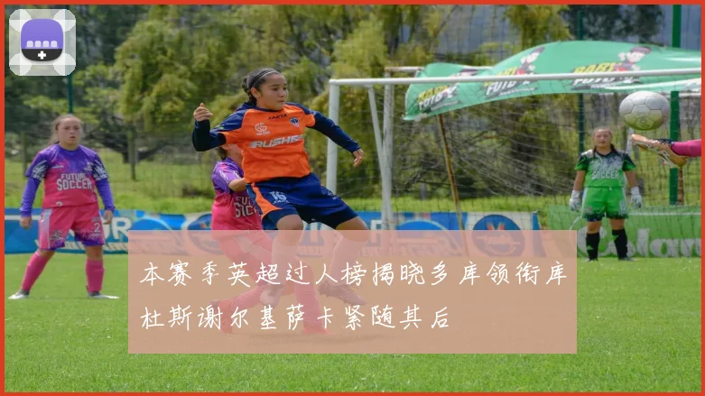 本赛季英超过人榜揭晓多库领衔库杜斯谢尔基萨卡紧随其后