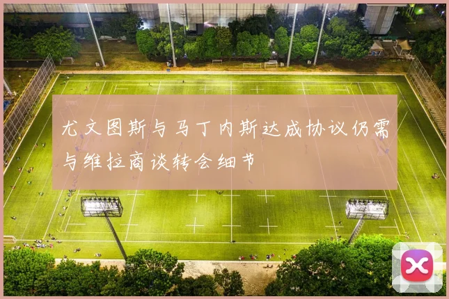 尤文图斯与马丁内斯达成协议仍需与维拉商谈转会细节